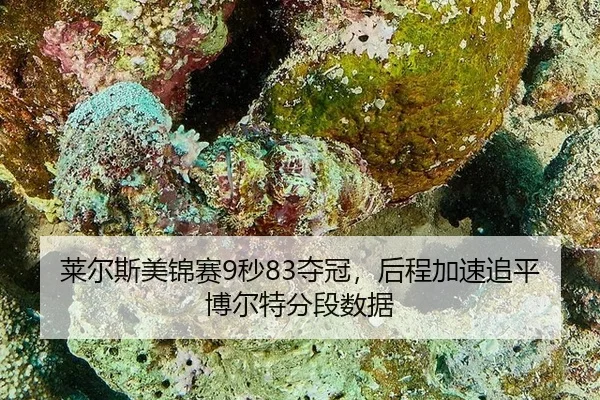 莱尔斯美锦赛9秒83夺冠，后程加速追平博尔特分段数据